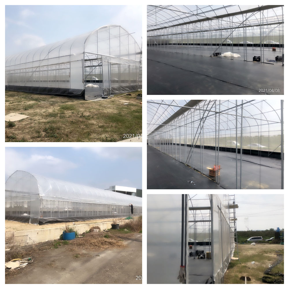 簡易溫室+內床烏日場