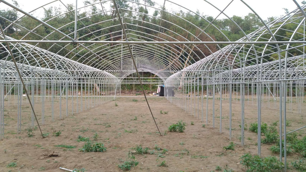 雲林溫室工程
